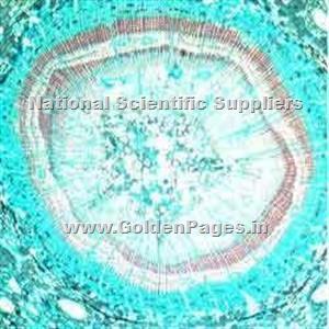 > </div>
<div class=